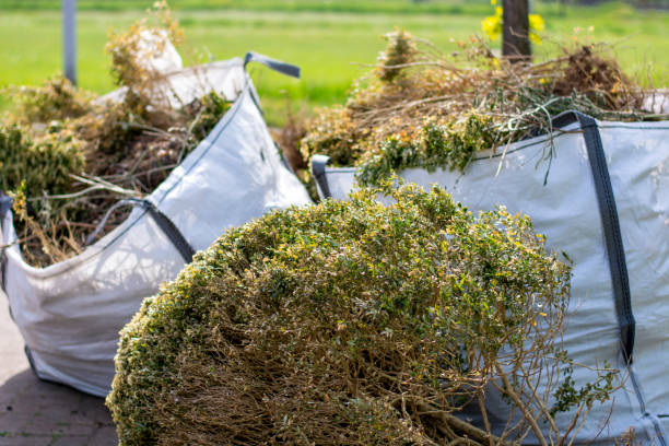 Best Construction Debris Removal  in Brunswick, MD